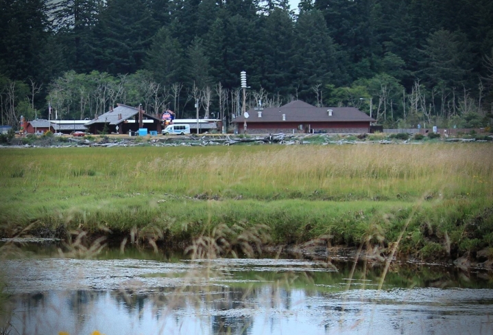 Shoalwater Bay business